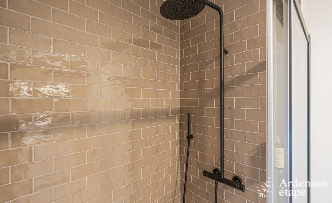 Villa de Luxe � Spa pour 18 personnes en Ardenne