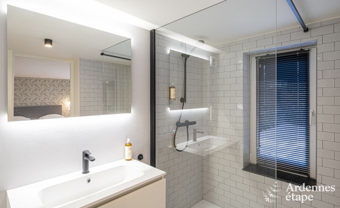 Villa de Luxe � Spa pour 18 personnes en Ardenne