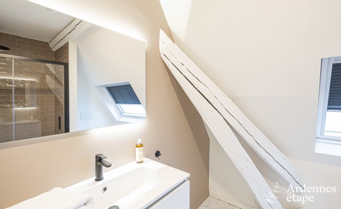 Villa de Luxe � Spa pour 18 personnes en Ardenne