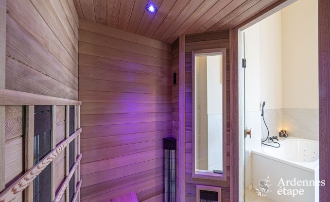 Villa de Luxe � Spa pour 18 personnes en Ardenne