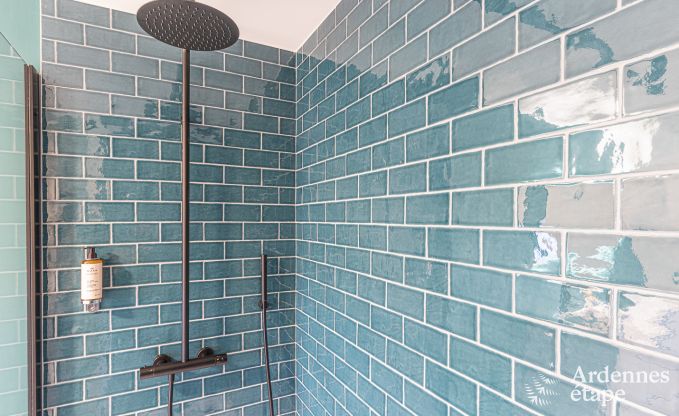 Villa de Luxe � Spa pour 18 personnes en Ardenne