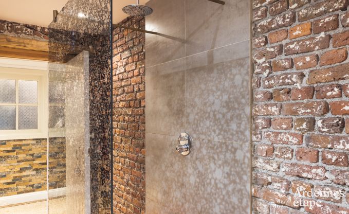 Chteau  Spa pour 9 personnes en Ardenne