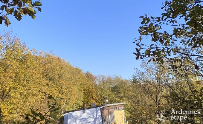 Gte insolite  Spa pour 24 personnes en Ardenne