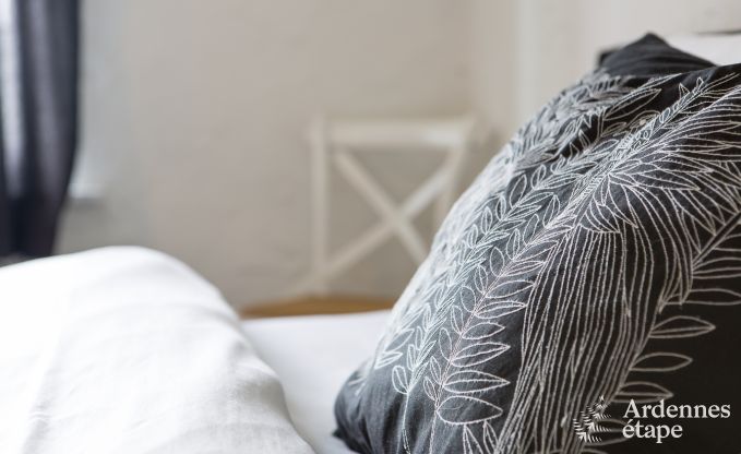 Maison de vacances  Spa pour 9 personnes en Ardenne