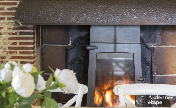 Maison de vacances  Spa pour 9 personnes en Ardenne