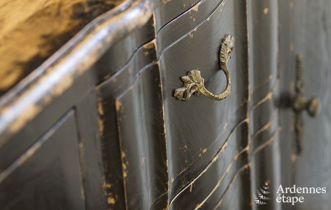 Maison de vacances  Spa pour 9 personnes en Ardenne