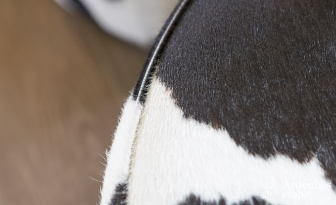 Maison de vacances  Spa pour 9 personnes en Ardenne