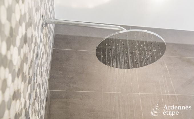 Maison de vacances  Spa pour 12 personnes en Ardenne