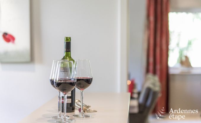 Maison de vacances  Spa pour 12 personnes en Ardenne