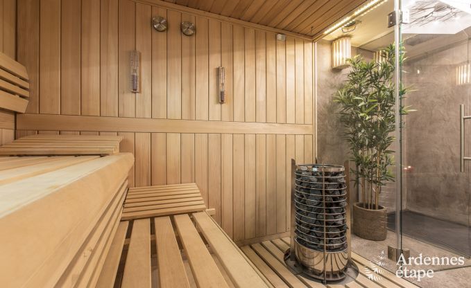 Maison de vacances  Spa pour 12 personnes en Ardenne