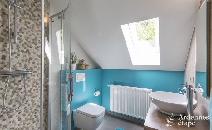 Maison de vacances  Spa pour 12 personnes en Ardenne