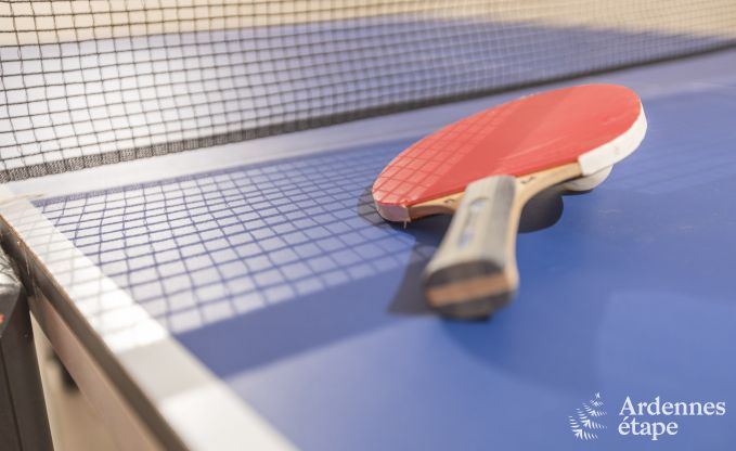 Maison de vacances  Spa pour 12 personnes en Ardenne