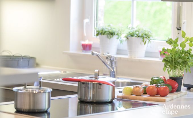 Maison de vacances  Spa pour 12 personnes en Ardenne