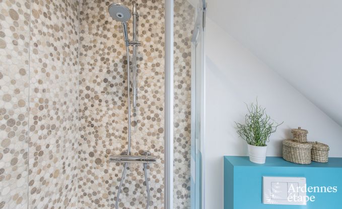 Maison de vacances  Spa pour 12 personnes en Ardenne