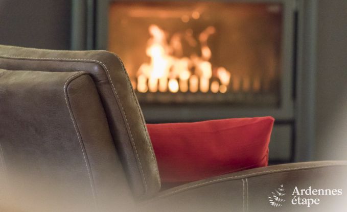 Maison de vacances  Spa pour 12 personnes en Ardenne