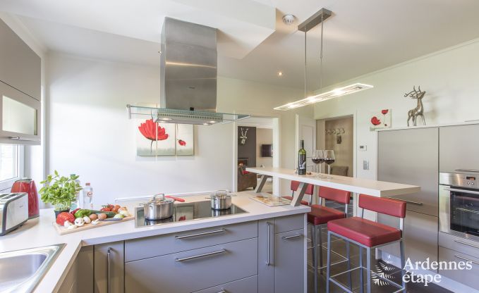 Maison de vacances  Spa pour 12 personnes en Ardenne