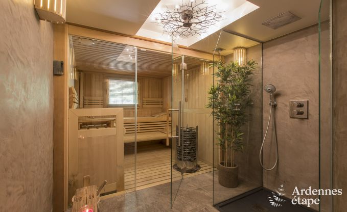 Maison de vacances  Spa pour 12 personnes en Ardenne