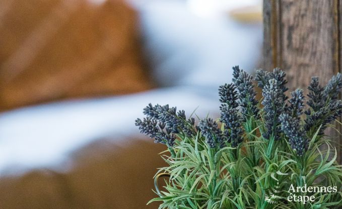 Maison de vacances � Spa pour 20 personnes en Ardenne