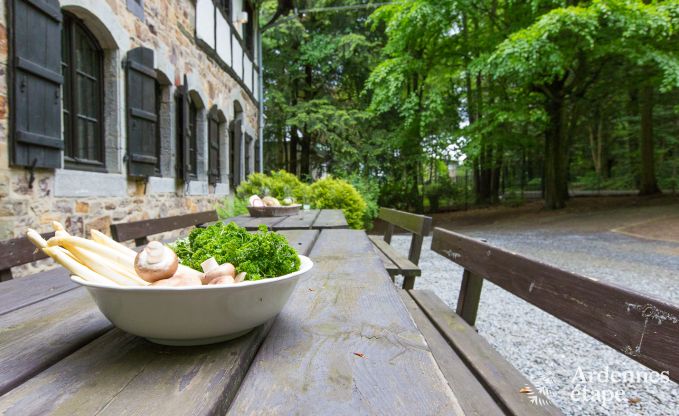 Maison de vacances � Spa pour 20 personnes en Ardenne