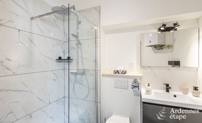 Maison de vacances � Spa pour 12 personnes en Ardenne