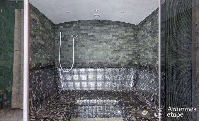 Villa de Luxe � Spa pour 13/14 personnes en Ardenne