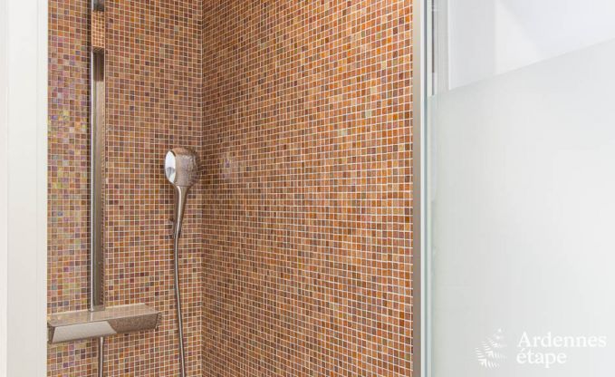 Villa de Luxe � Spa pour 13/14 personnes en Ardenne