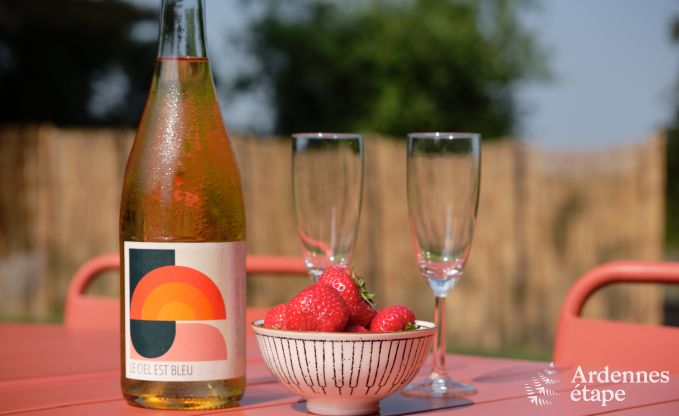 Tiny house avec po�le � bois et jardin priv� � Sprimont, Hautes Fagnes