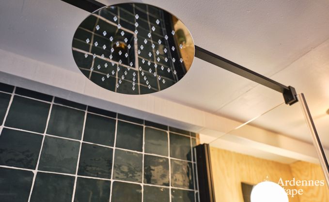 Tiny house avec po�le � bois et jardin priv� � Sprimont, Hautes Fagnes