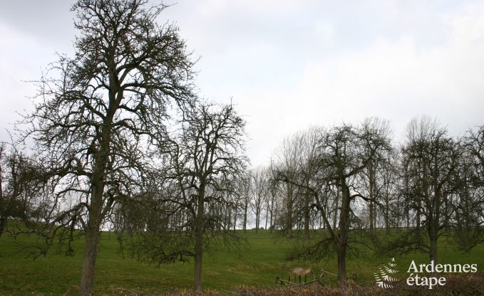Maison de vacances  Sprimont pour 4 personnes en Ardenne