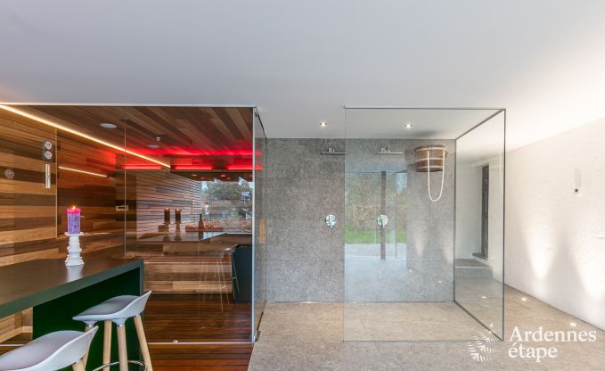 Villa de Luxe  St Vith pour 14 personnes en Ardenne