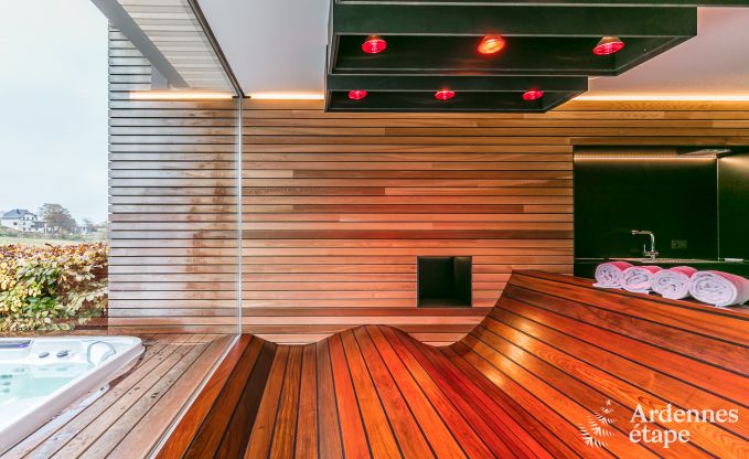 Villa de Luxe  St Vith pour 14 personnes en Ardenne