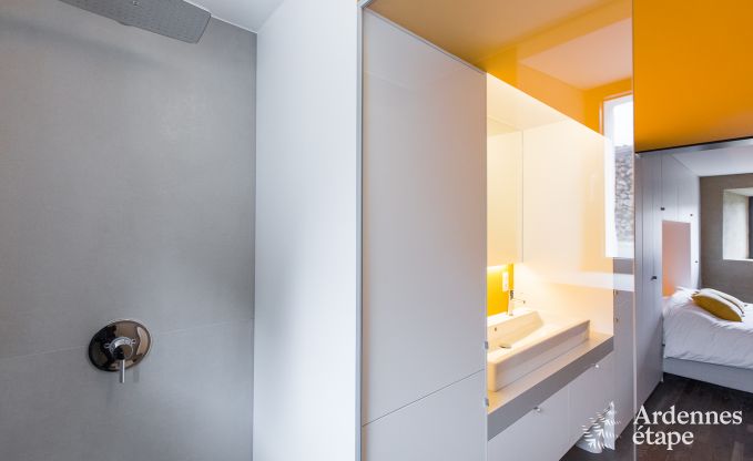 Villa de Luxe  St Vith pour 14 personnes en Ardenne