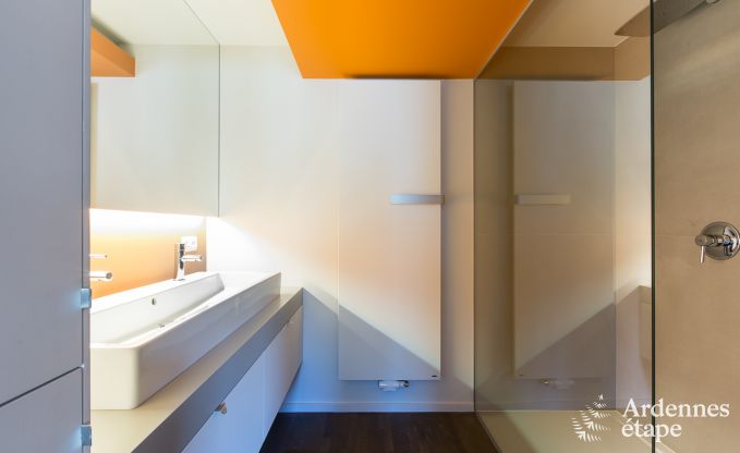 Villa de Luxe  St Vith pour 14 personnes en Ardenne