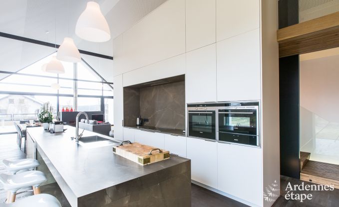 Villa de Luxe  St Vith pour 14 personnes en Ardenne