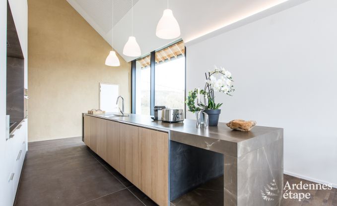 Villa de Luxe  St Vith pour 14 personnes en Ardenne