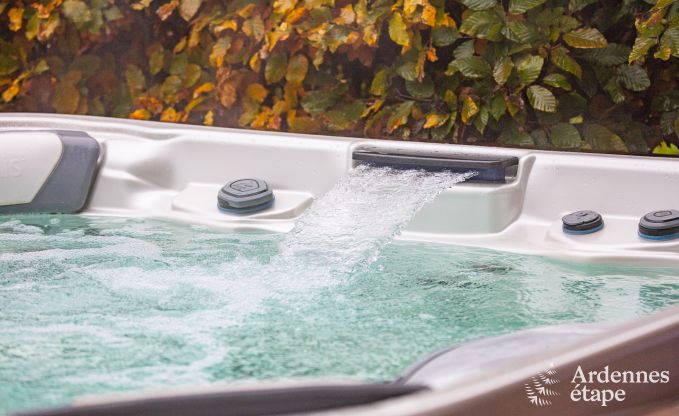 Villa de Luxe  St Vith pour 14 personnes en Ardenne