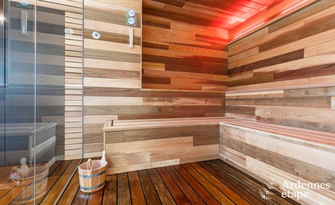 Villa de Luxe  St Vith pour 14 personnes en Ardenne