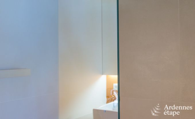 Villa de Luxe  St Vith pour 14 personnes en Ardenne