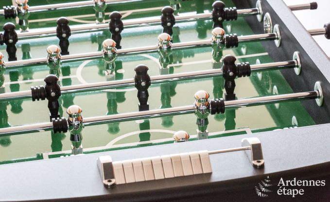 Villa de Luxe  St Vith pour 14 personnes en Ardenne