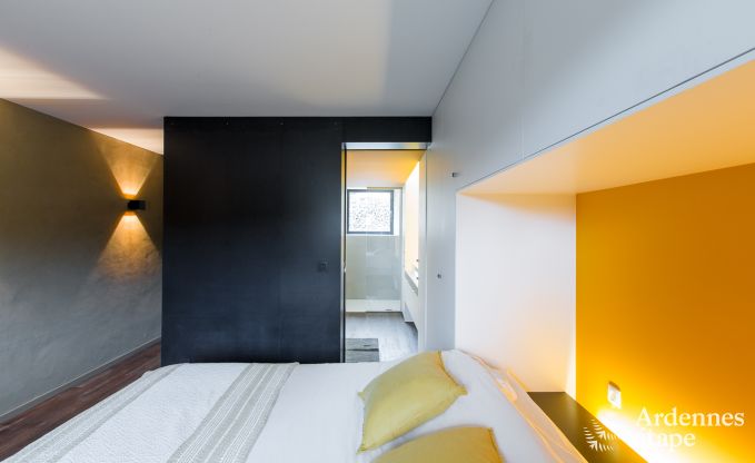 Villa de Luxe  St Vith pour 14 personnes en Ardenne