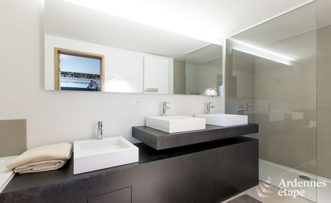 Villa de Luxe  St Vith pour 14 personnes en Ardenne