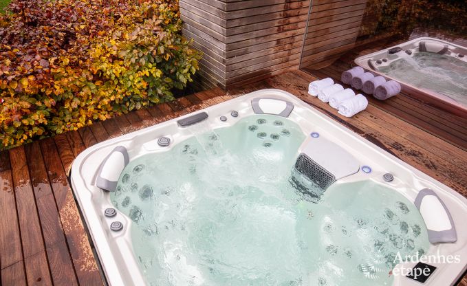 Villa de Luxe  St Vith pour 14 personnes en Ardenne