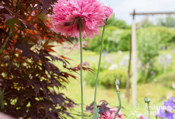 Chalet � Stavelot pour 2 personnes en Ardenne