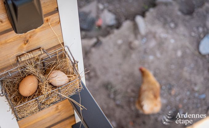 Chalet � Stavelot pour 2 personnes en Ardenne