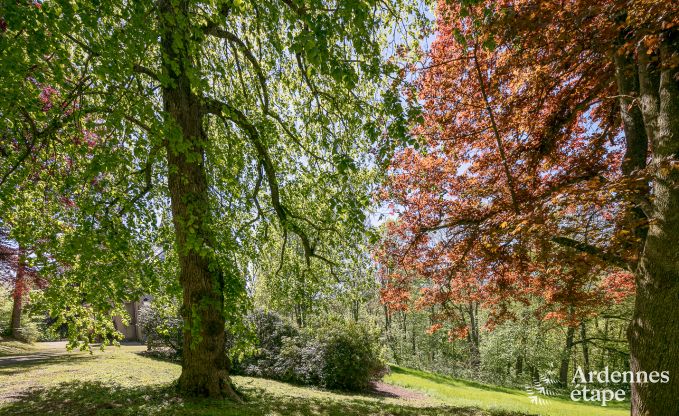 Ch�teau � Stavelot pour 8 personnes en Ardenne