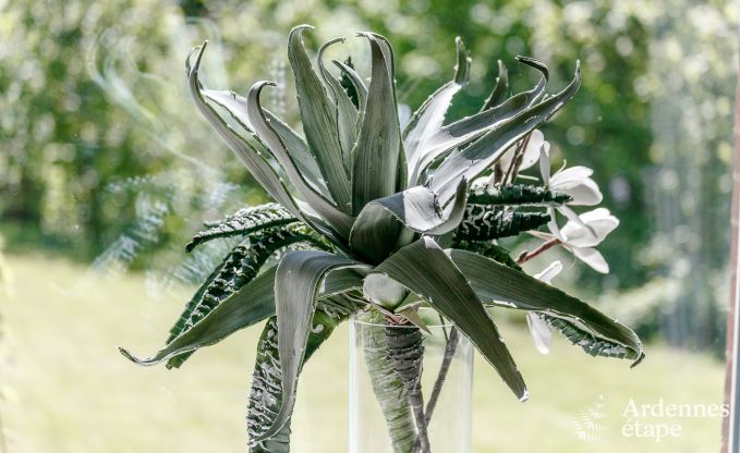 Ch�teau � Stavelot pour 8 personnes en Ardenne