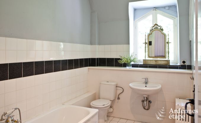 Chteau de luxe en Ardenne pour 28 personnes  Stavelot avec sauna, jacuzzi et aire de jeux