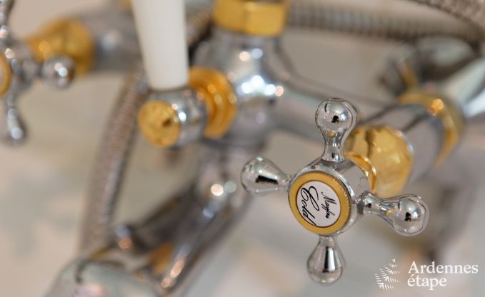 Chteau de luxe en Ardenne pour 28 personnes  Stavelot avec sauna, jacuzzi et aire de jeux