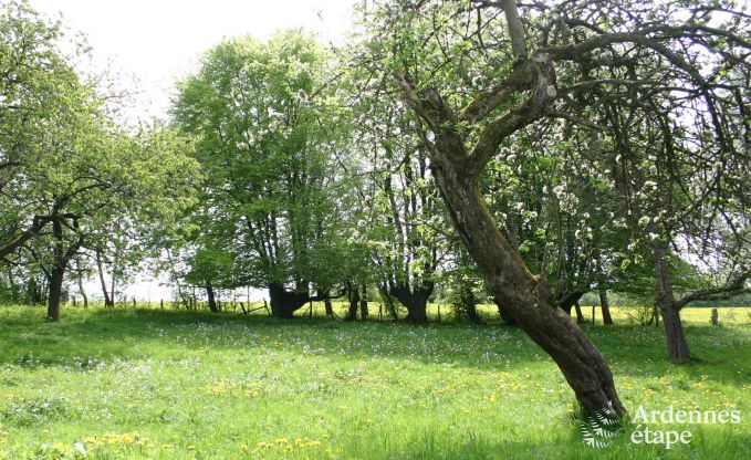Maison de vacances � Stavelot pour 15/18 personnes en Ardenne