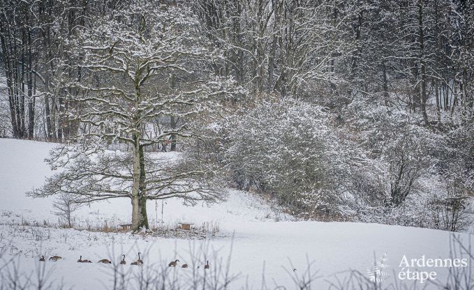 Maison de vacances  Stavelot avec jacuzzi et belle vue pour 4 personnes en Ardenne